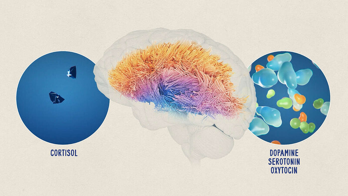 Embrace Your Signal: Loneliness, Art, and the Brain