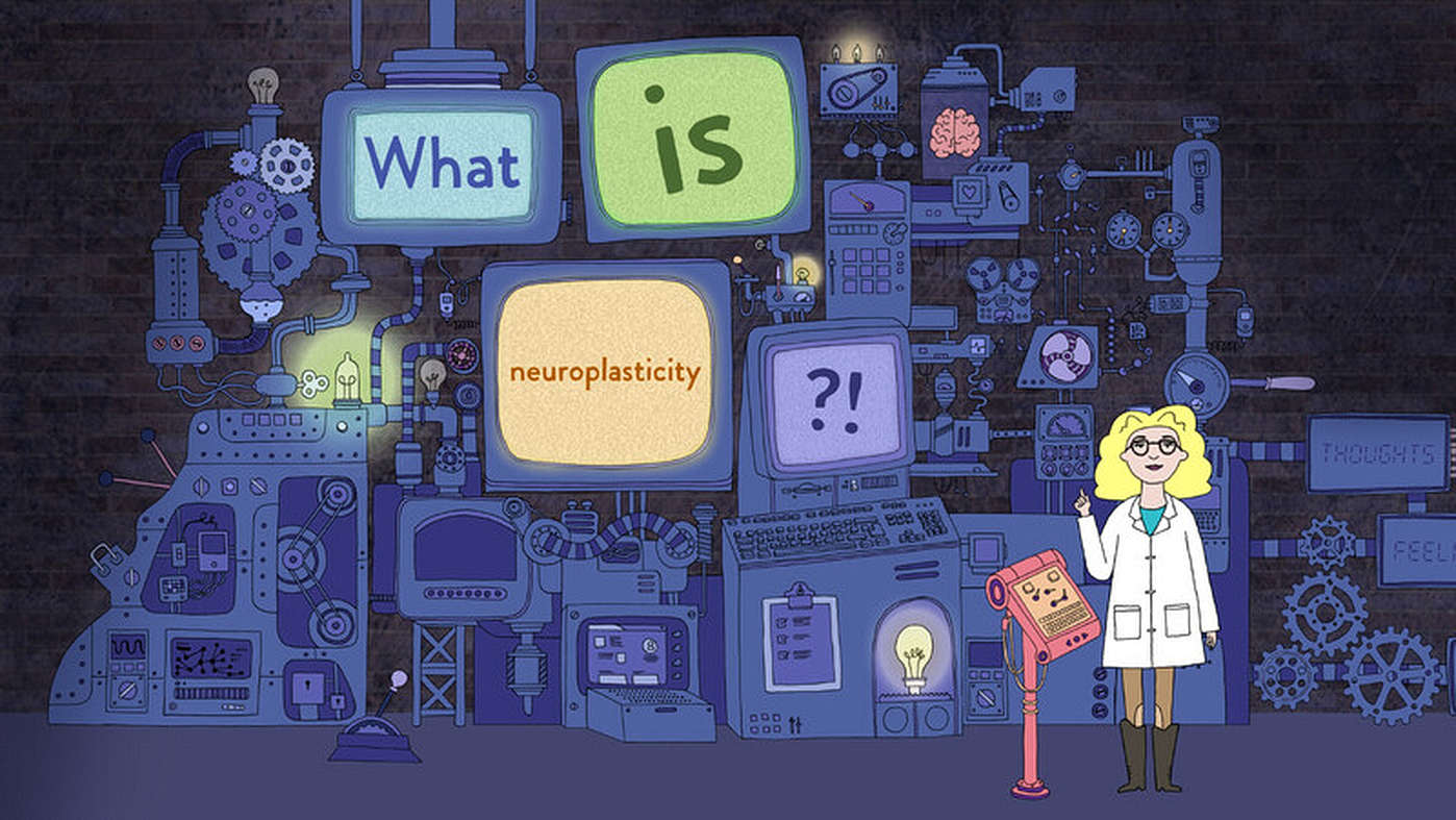 My Neuroplasticity